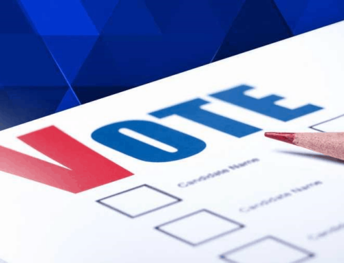 2022 Primary Election Voting Guide